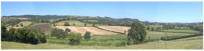 view of wattles